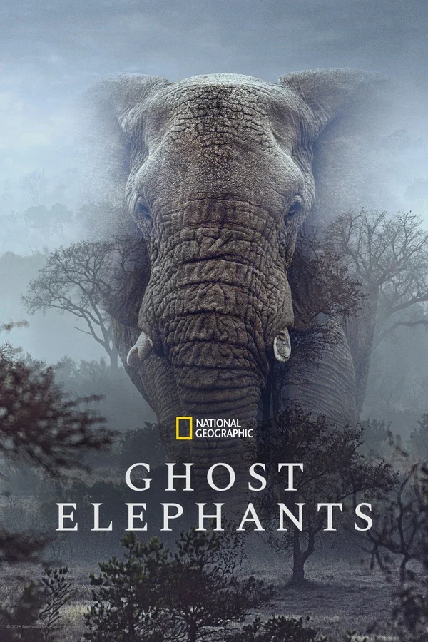 Xem Phim Ghost Elephants