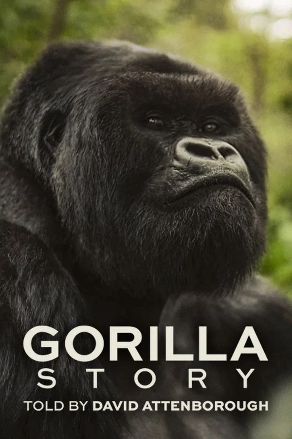 Xem Phim Hành Trình Của Khỉ Đột – Qua Giọng Kể David Attenborough