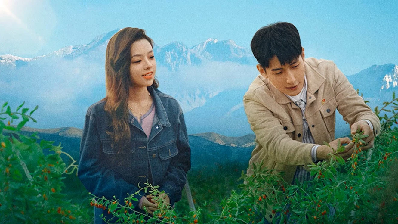 Xem Phim Tình Yêu Ở Bortala Vietsub HD Online